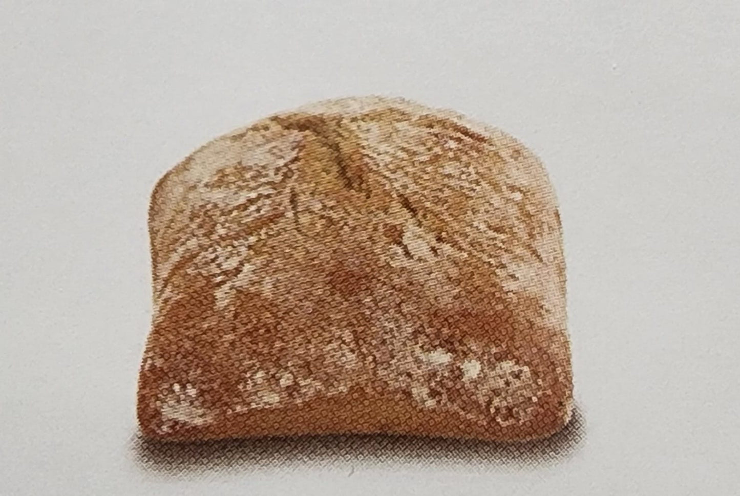 Chapata Mini
